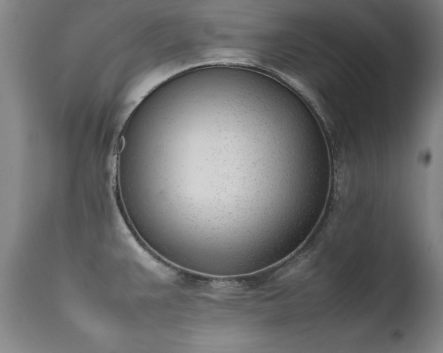 X0000111391383200907171236