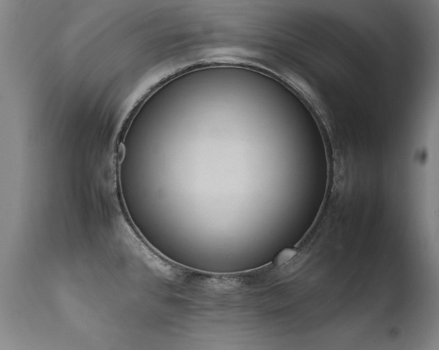 X0000111391384200907171236