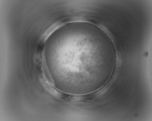 X0000111391385200907171236