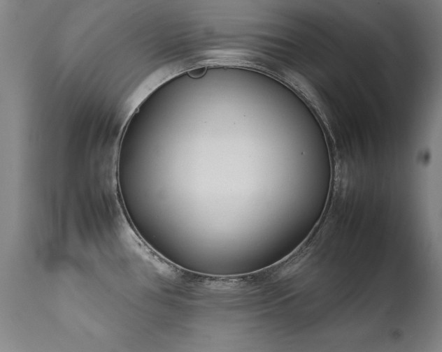 X0000111391386200907171236