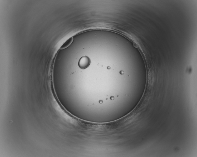 X0000111391387200907171236