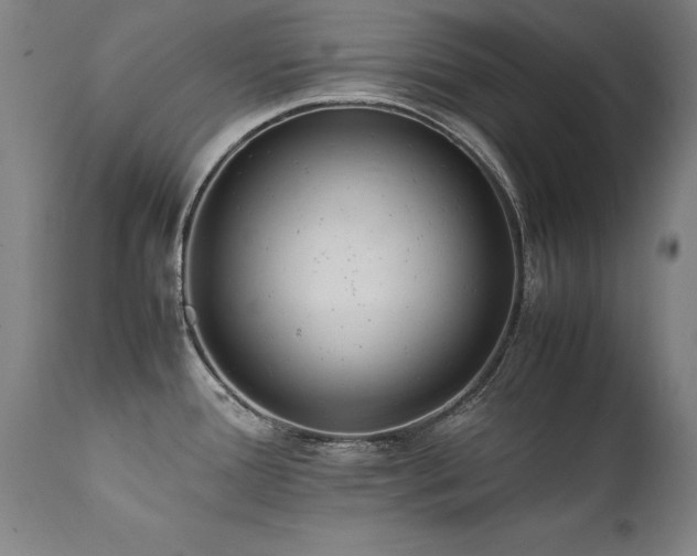 X0000111391388200907171236