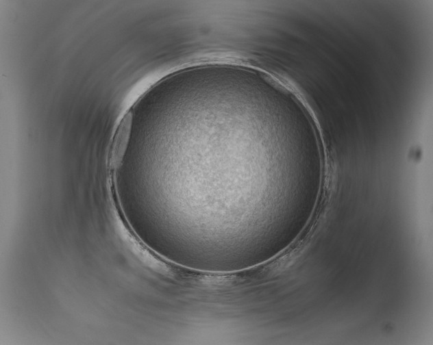 X0000111391389200907171236