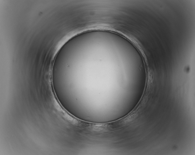 X0000111391390200907171236