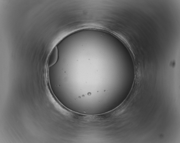 X0000111391391200907171236