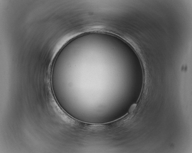 X0000111391392200907171236