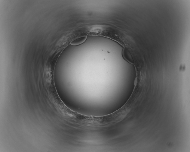 X0000111391394200907171235