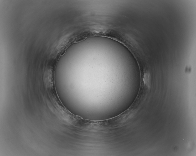 X0000111391396200907171235