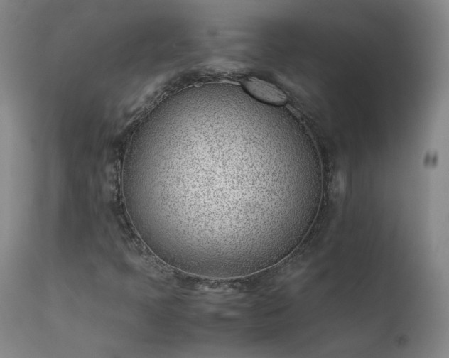 X0000111391397200907171235