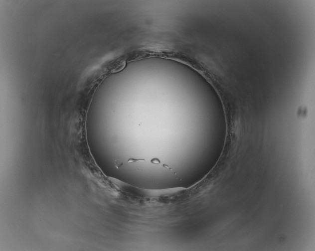 X0000111391398200907171235