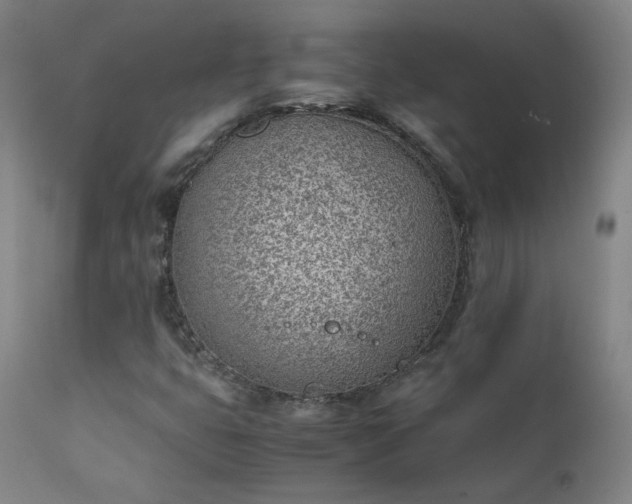 X0000111391399200907171235