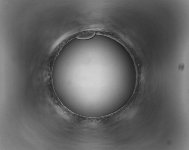 X0000111391400200907171235