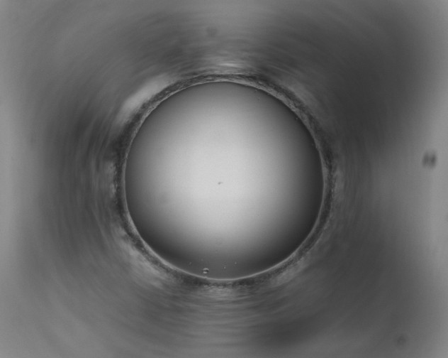 X0000111391402200907171235