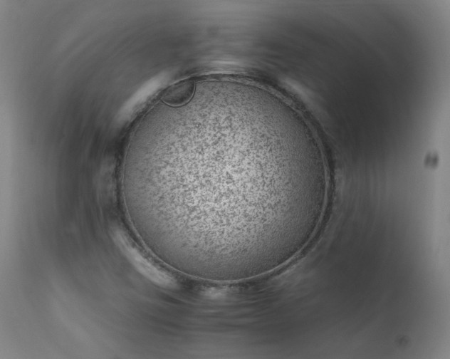 X0000111391403200907171235