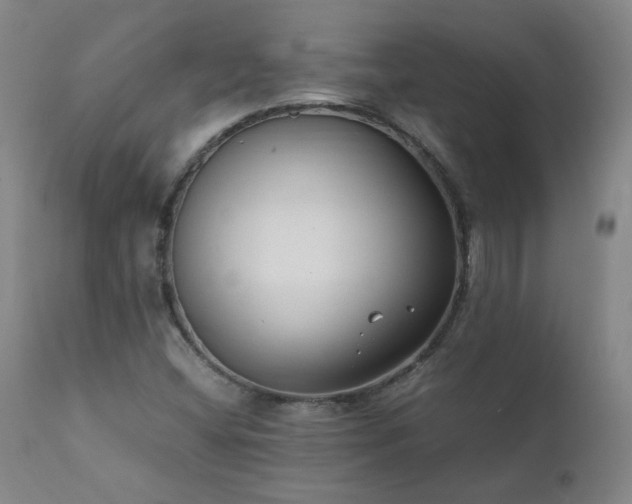 X0000111391404200907171235