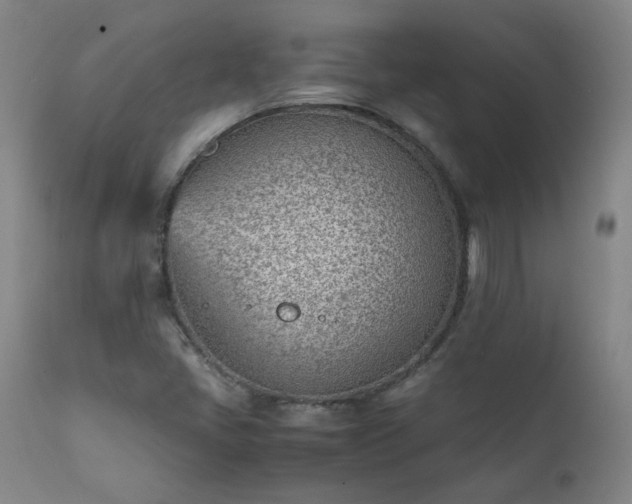 X0000111391405200907171235