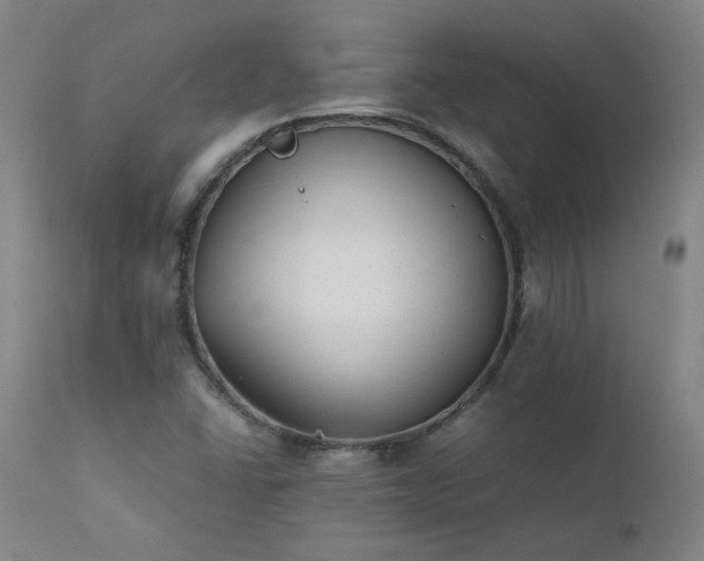 X0000111391406200907171235