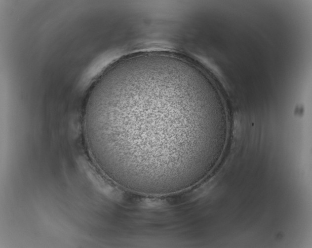 X0000111391407200907171235