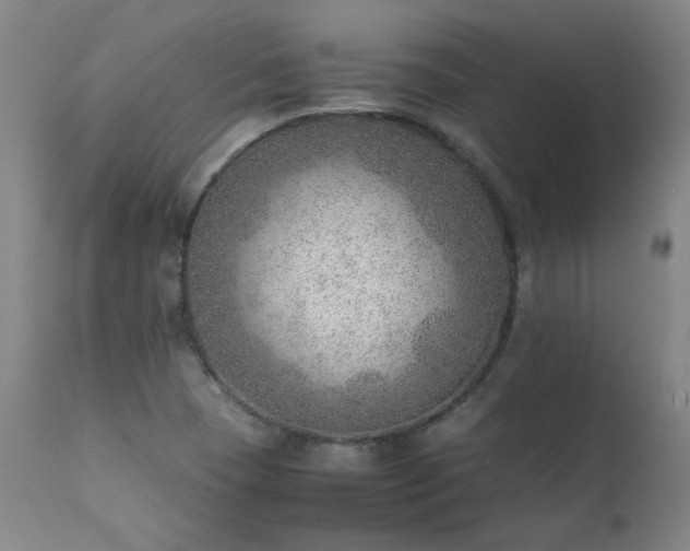 X0000111391409200907171235