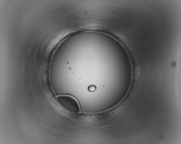 X0000111391410200907171235