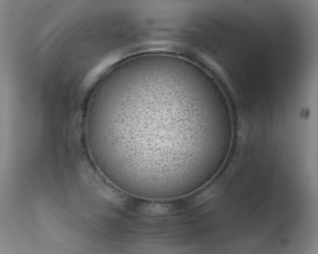 X0000111391411200907171235