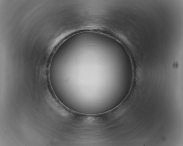 X0000111391412200907171235