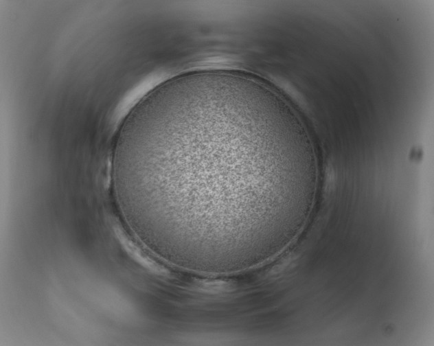 X0000111391413200907171235