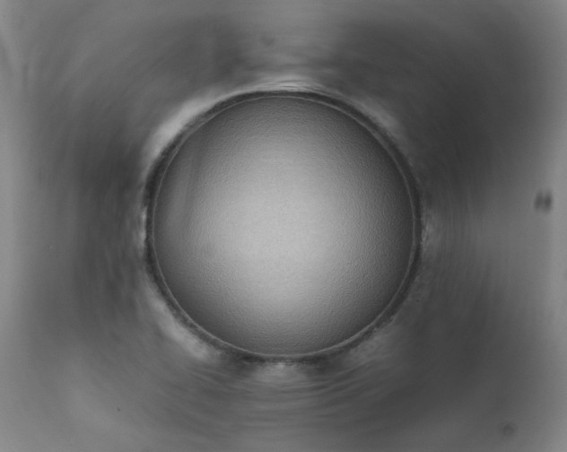 X0000111391414200907171235