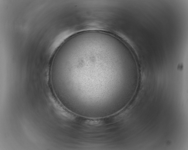 X0000111391415200907171235