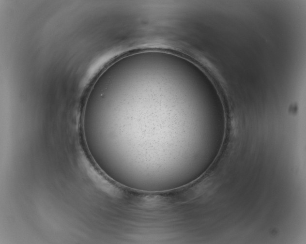 X0000111391416200907171235