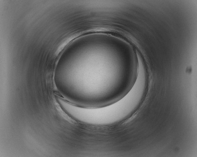 X0000111391417200907171235