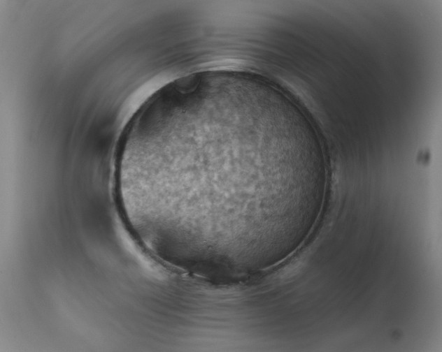 X0000111391418200907171235