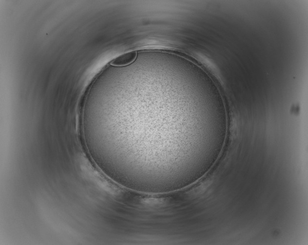 X0000111391419200907171235