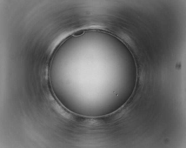 X0000111391420200907171235