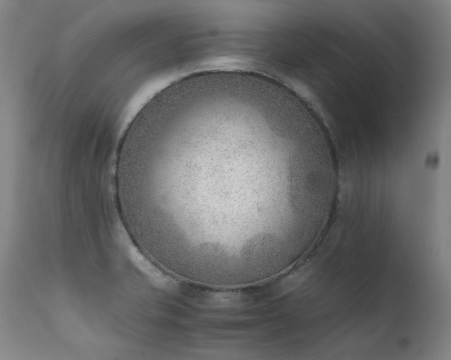 X0000111391421200907171235