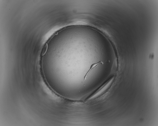 X0000111391422200907171235