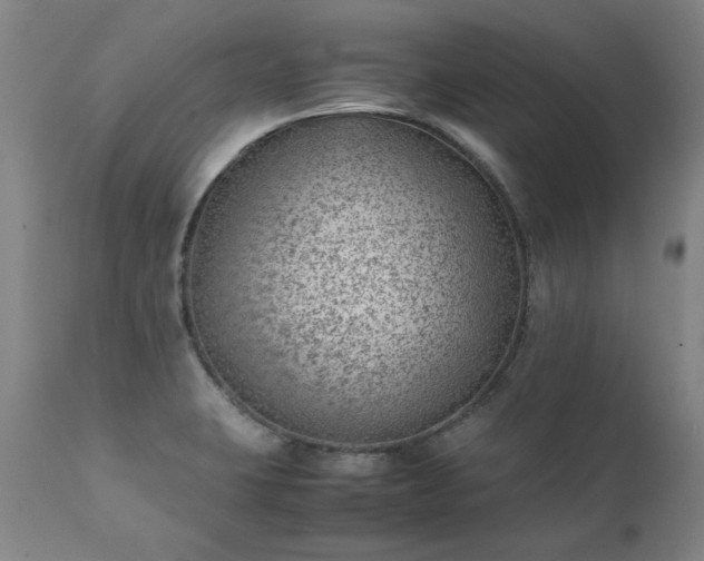 X0000111391423200907171235