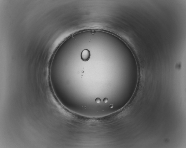 X0000111391424200907171235