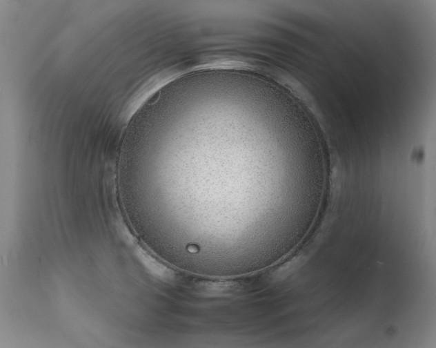 X0000111391425200907171235