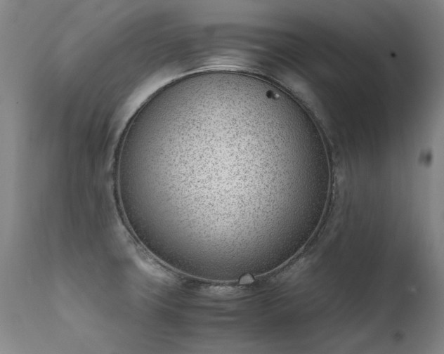 X0000111391427200907171235