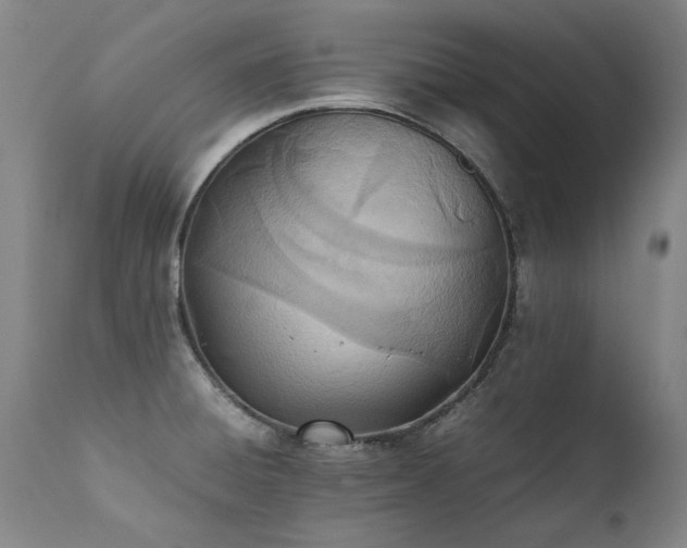 X0000111391428200907171235