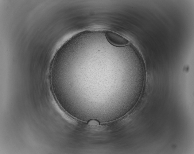 X0000111391429200907171235