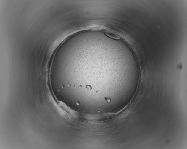 X0000111391430200907171235