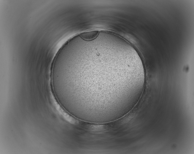 X0000111391431200907171235