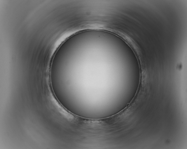 X0000111391432200907171235