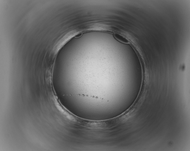 X0000111391433200907171235