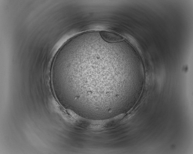 X0000111391435200907171236