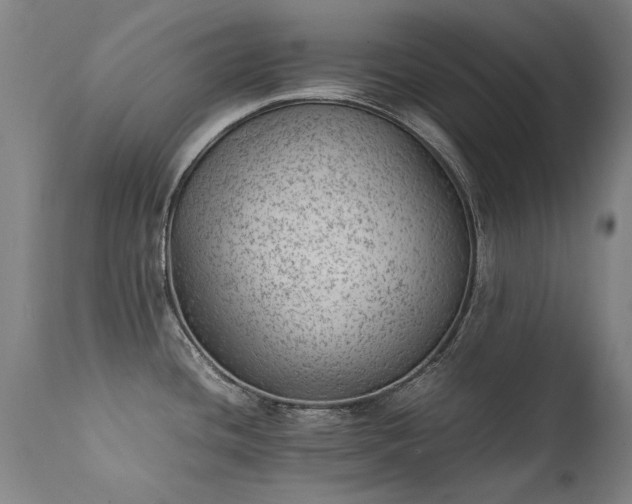 X0000111391436200907171236