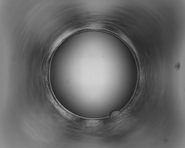 X0000111391437200907171236