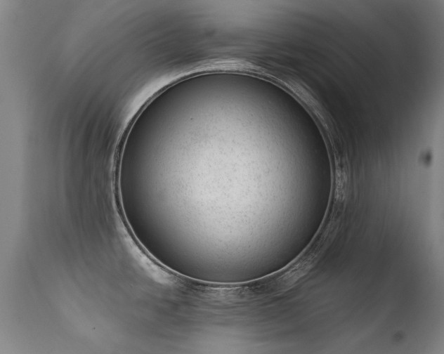 X0000111391438200907171236